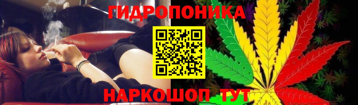 Канабис OG Kush  Бошки Шишки VHQ  Россия  Марихуана марихуана  Бошки марихуана Ganja  Вход с VPN 